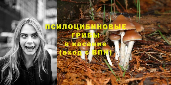 прущая мука Козельск