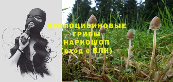 прущая мука Козельск