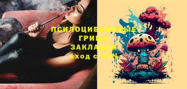молекула духа Киреевск